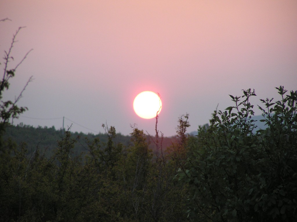 img00002.jpg