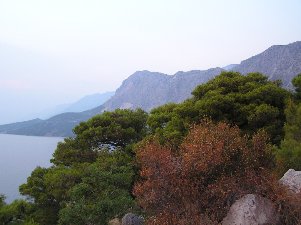 img00009.jpg