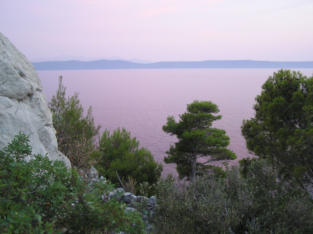 img00010.jpg