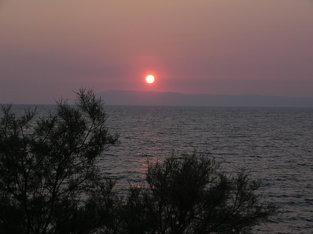 img00041.jpg