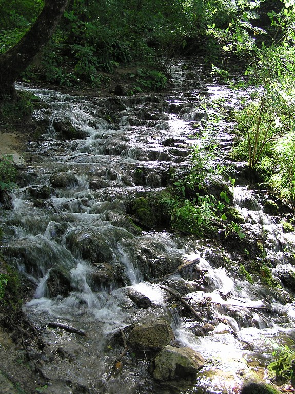 img00049.jpg