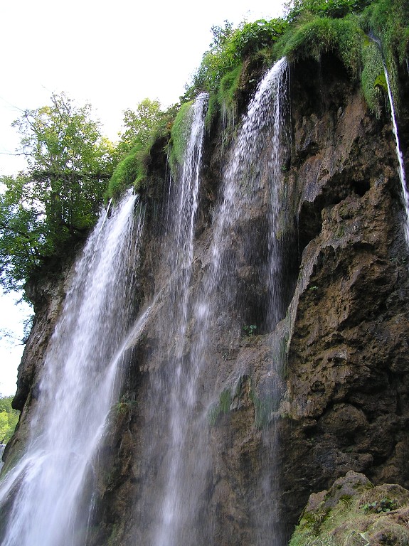 img00050.jpg