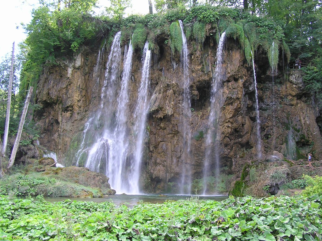 img00052.jpg