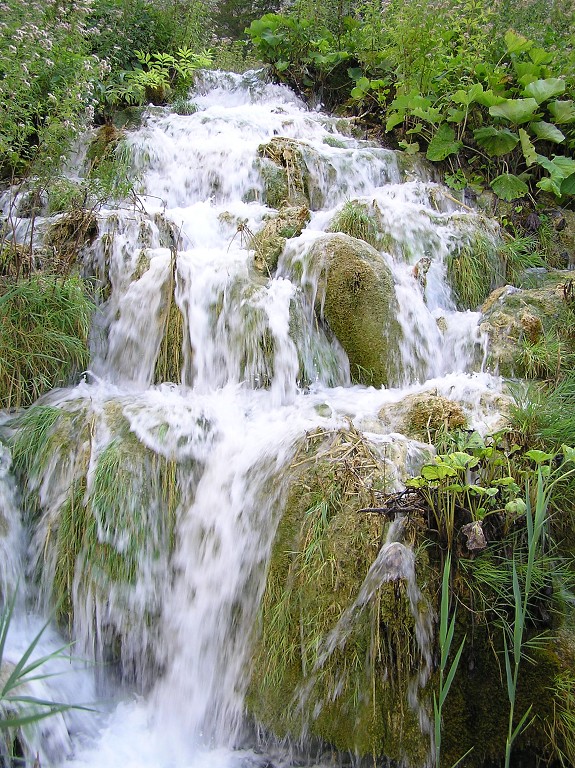 img00057.jpg