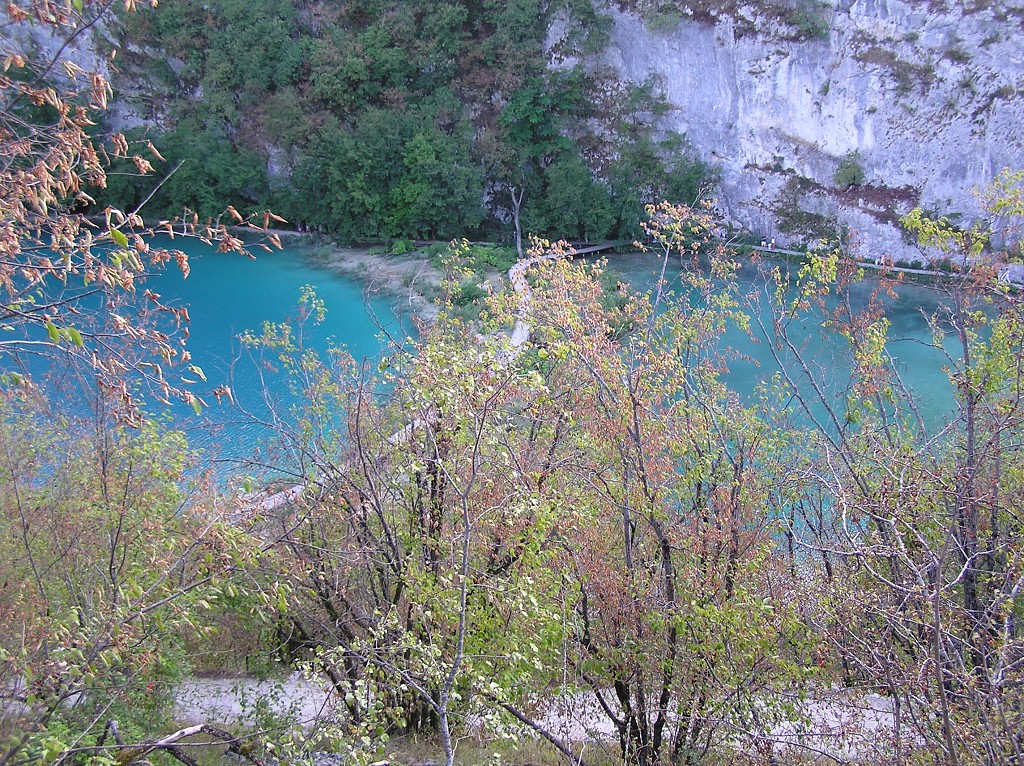 img00062.jpg