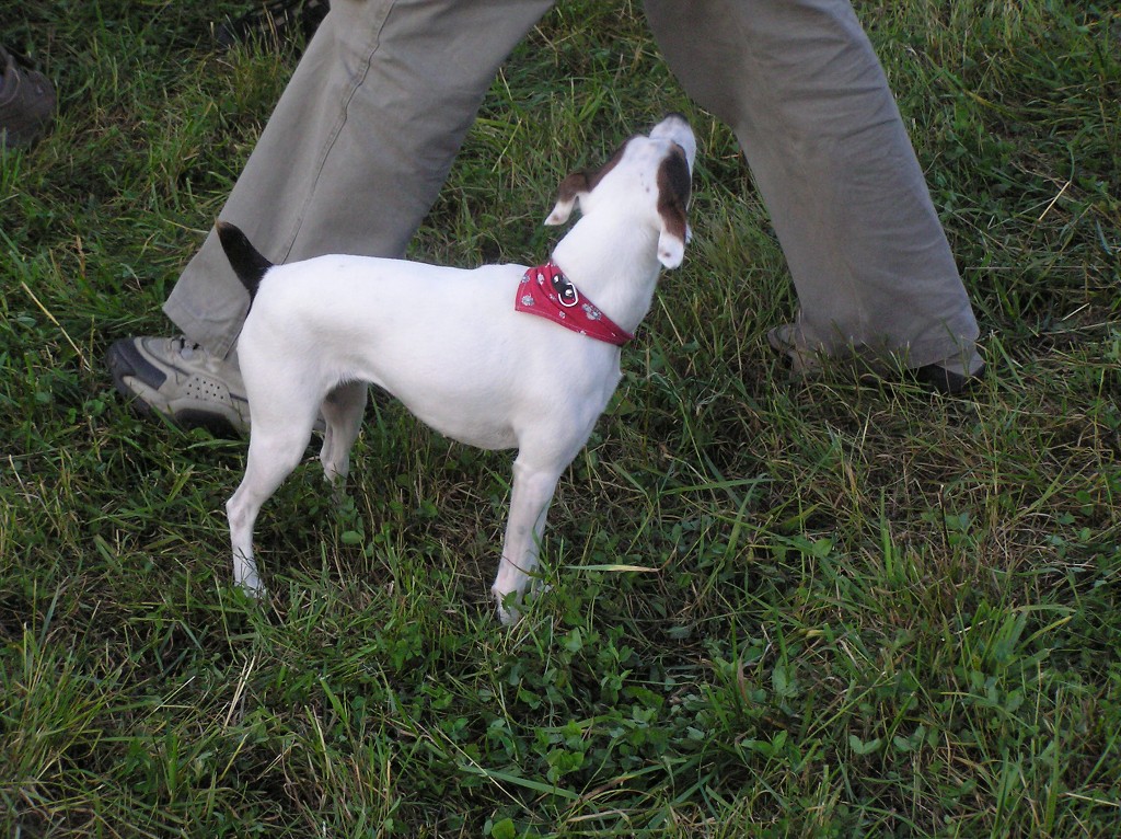 img00009.jpg
