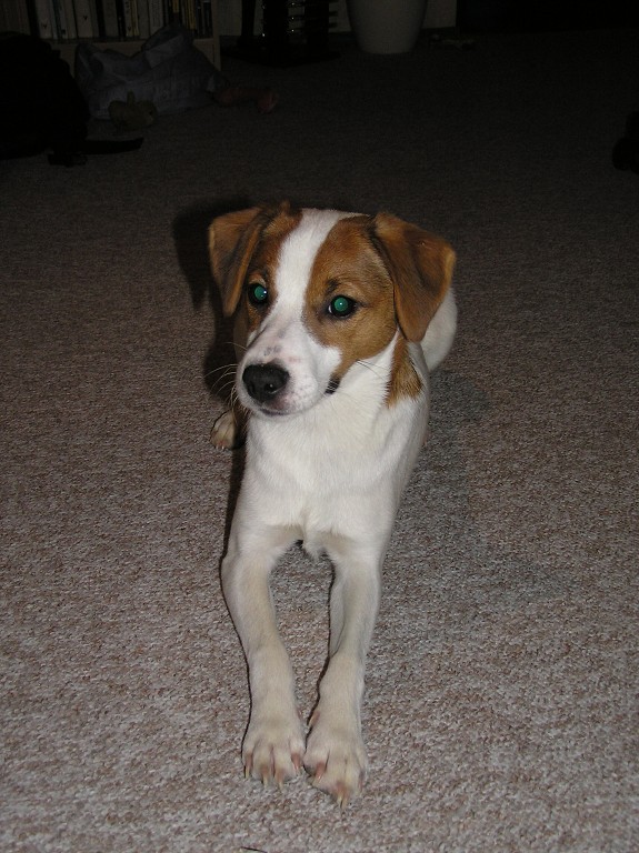 img00003.jpg
