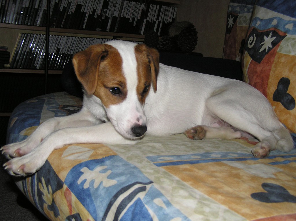 img00005.jpg