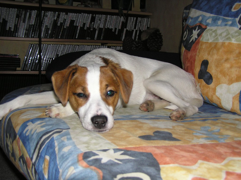 img00006.jpg