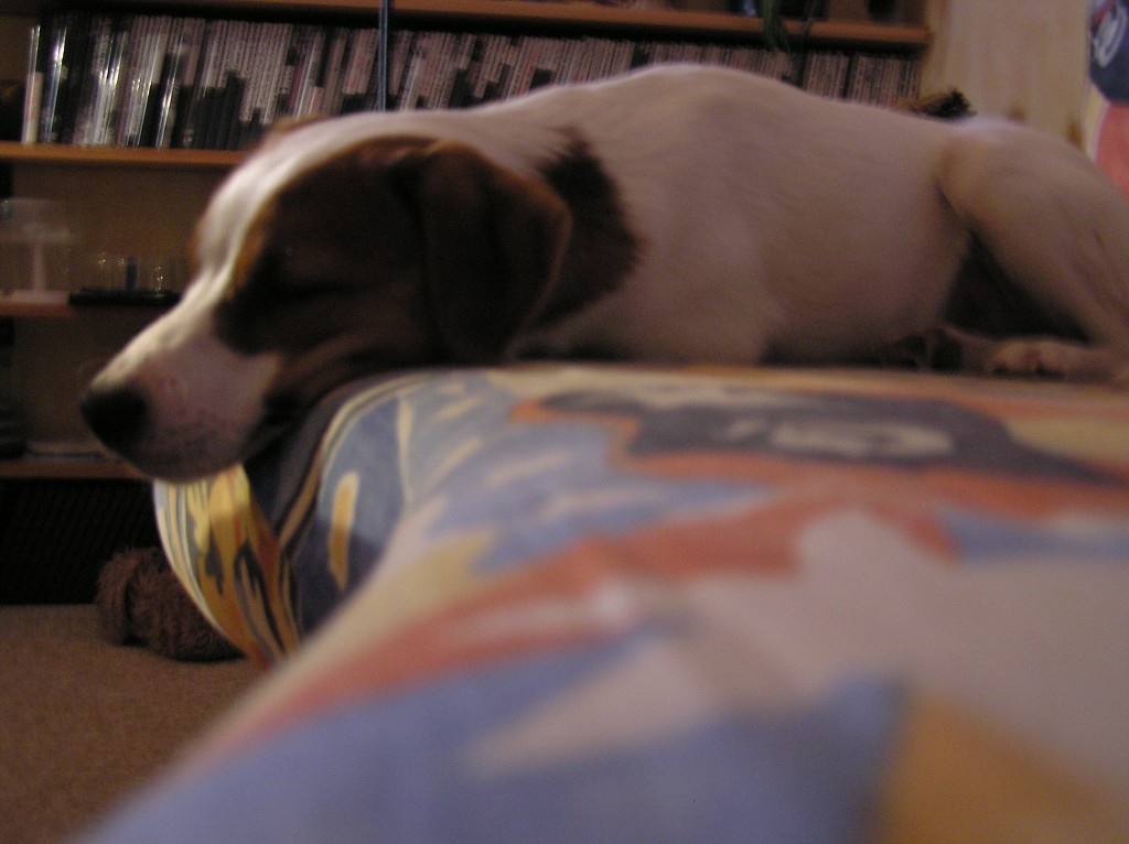 img00007.jpg