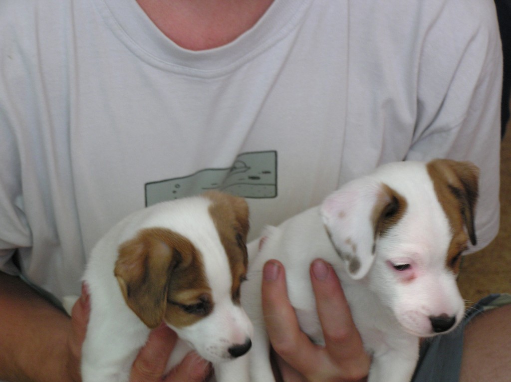 img00008.jpg