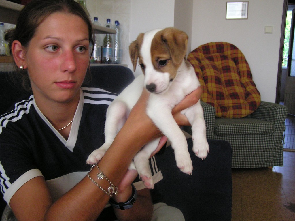 img00012.jpg