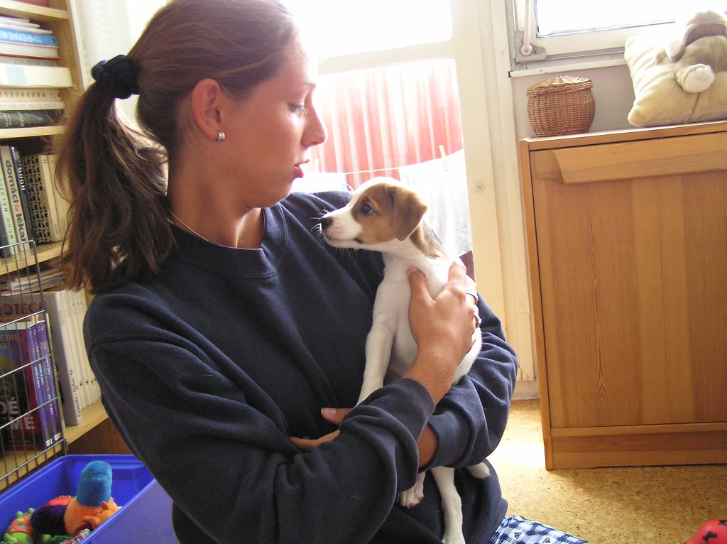 img00013.jpg