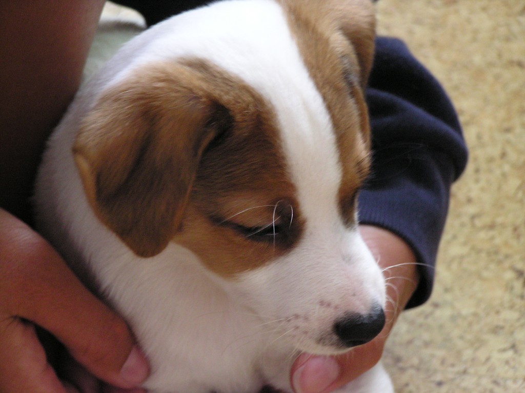 img00014.jpg