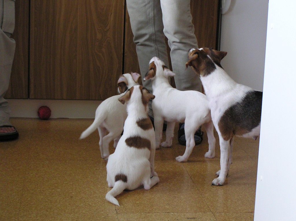 img00015.jpg