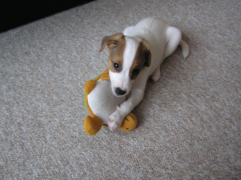 img00018.jpg