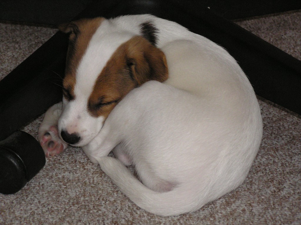 img00019.jpg