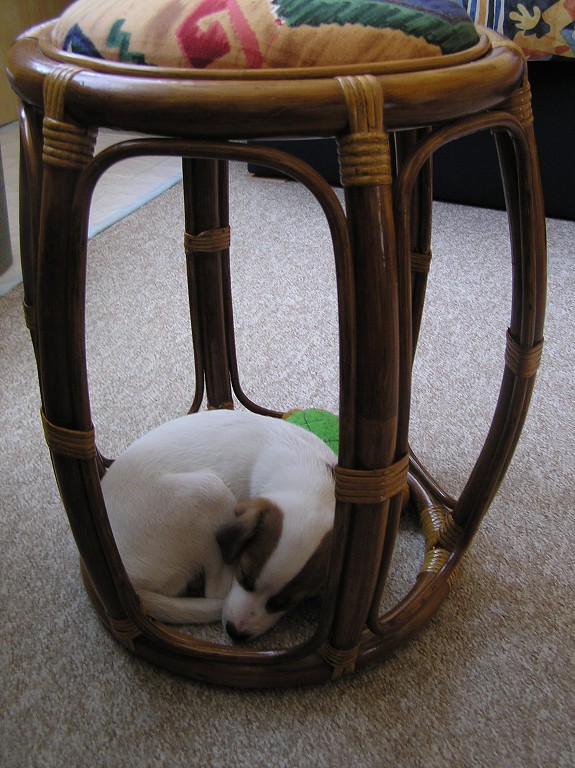 img00025.jpg