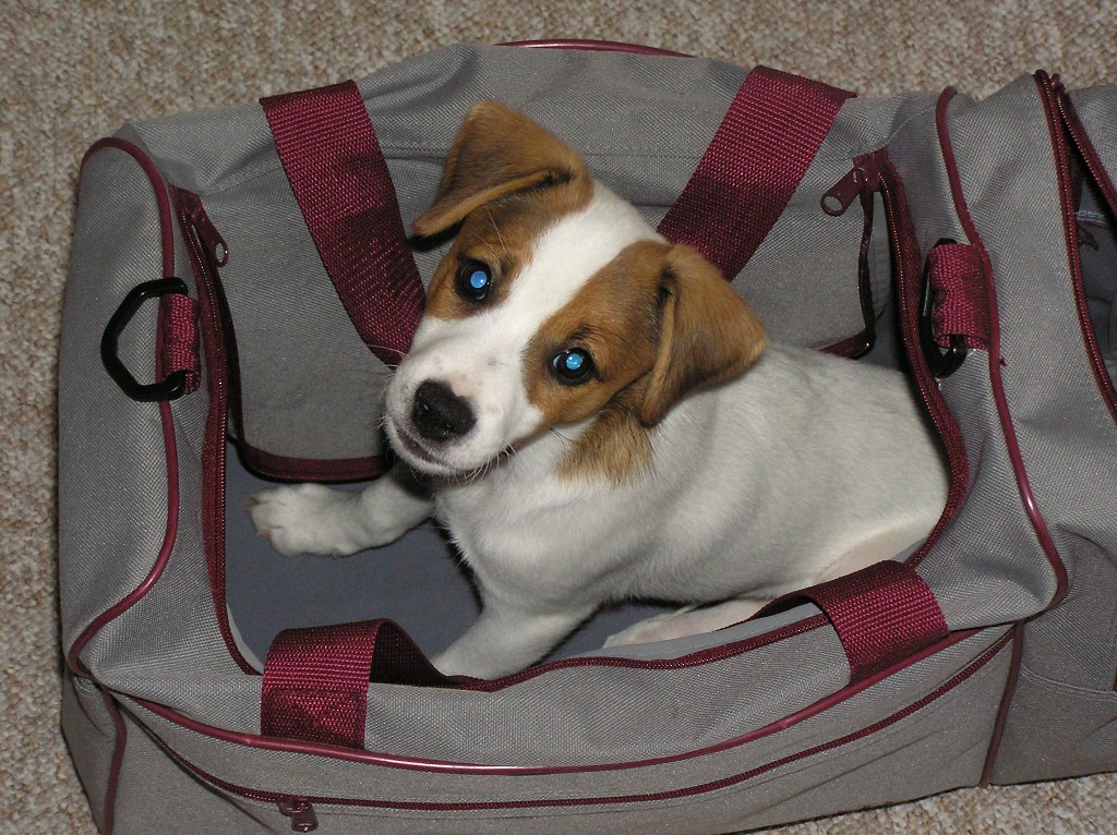 img00027.jpg
