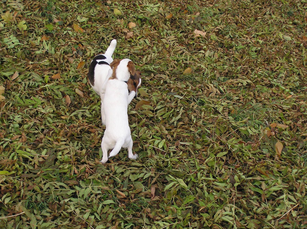 img00030.jpg