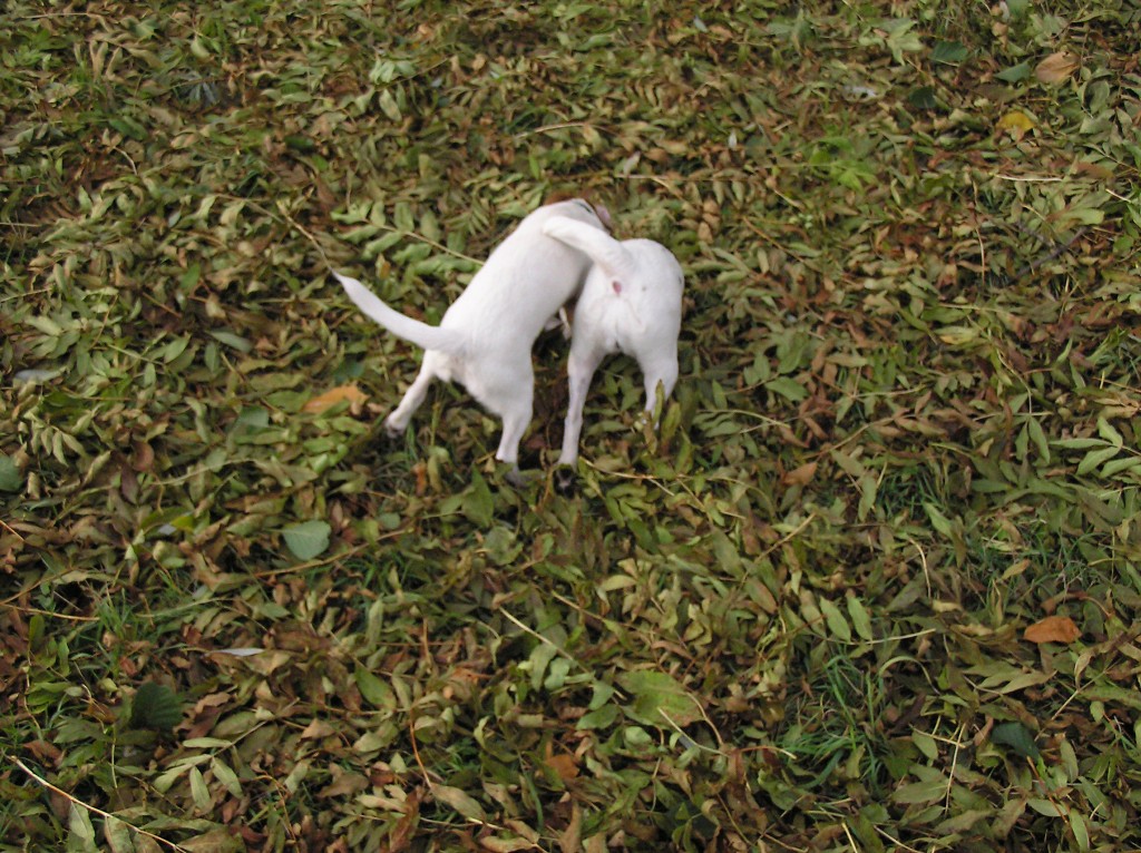 img00033.jpg