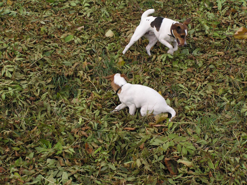img00034.jpg