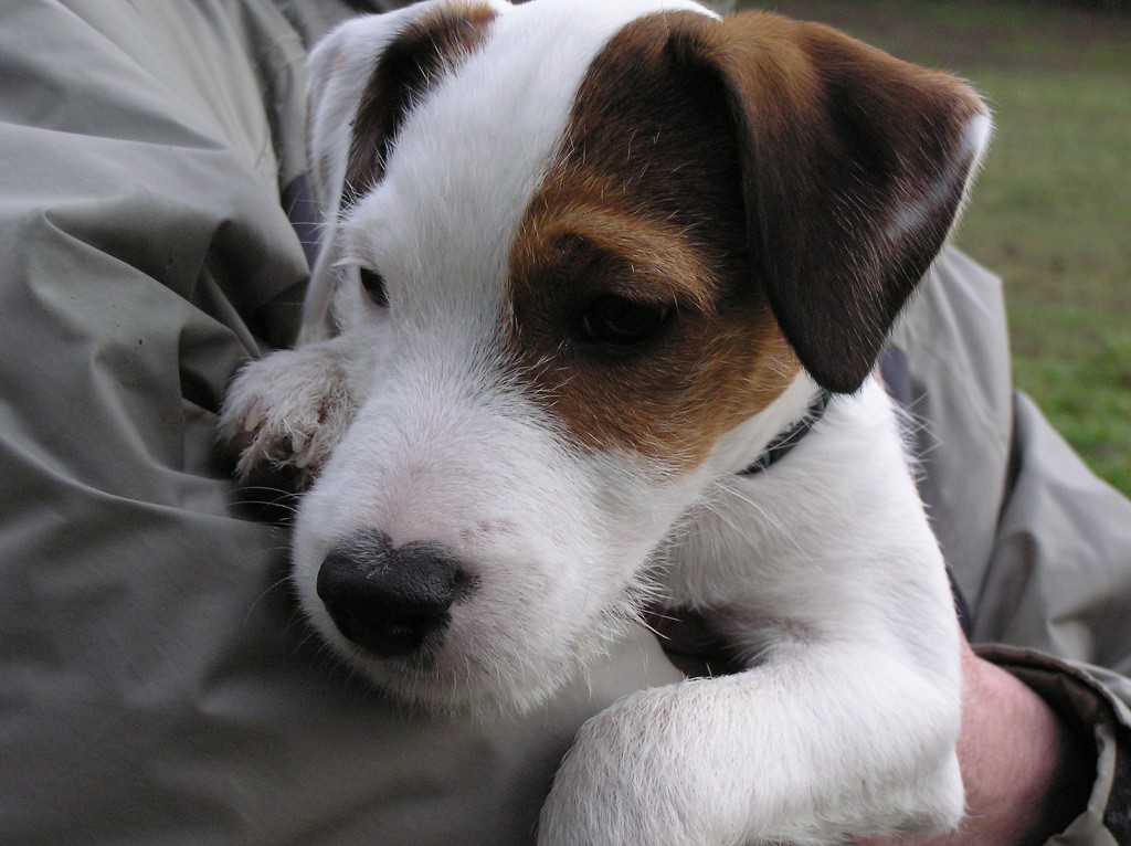 img00035.jpg