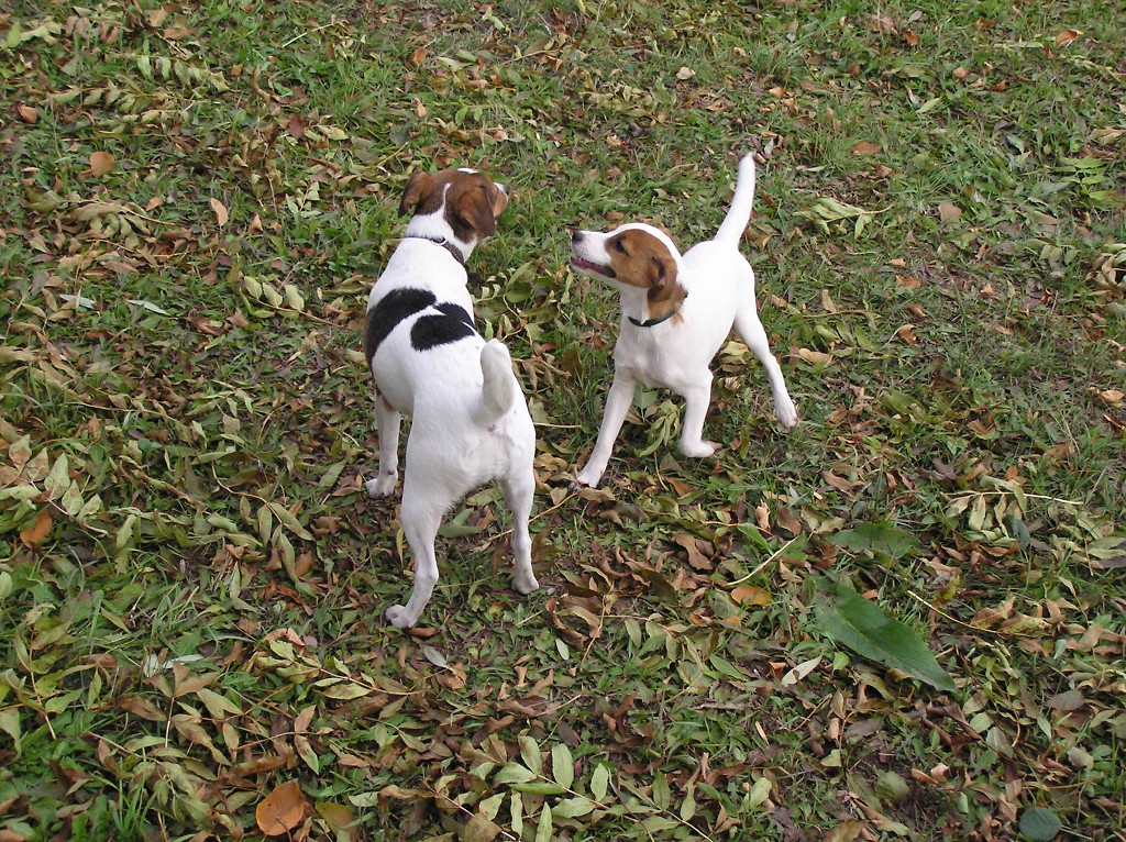 img00036.jpg