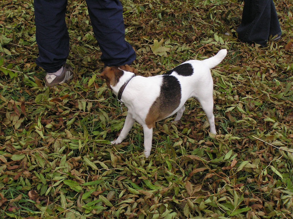img00037.jpg
