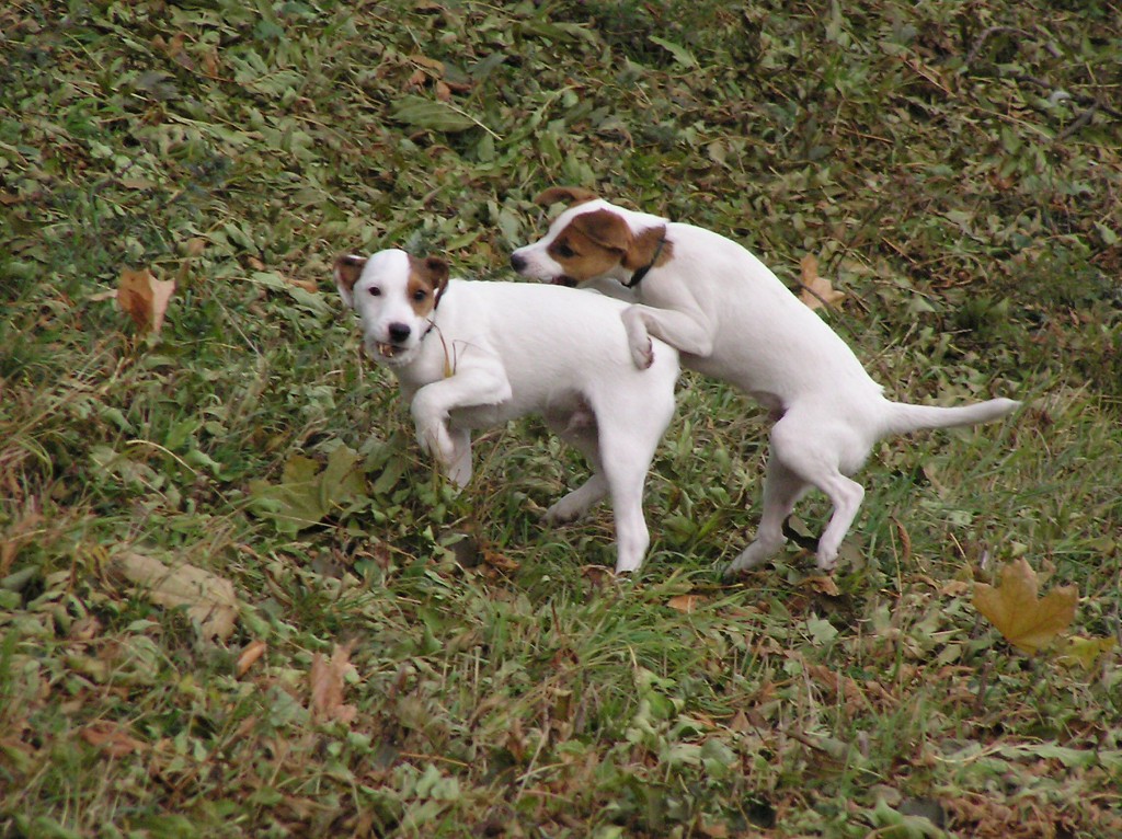 img00038.jpg