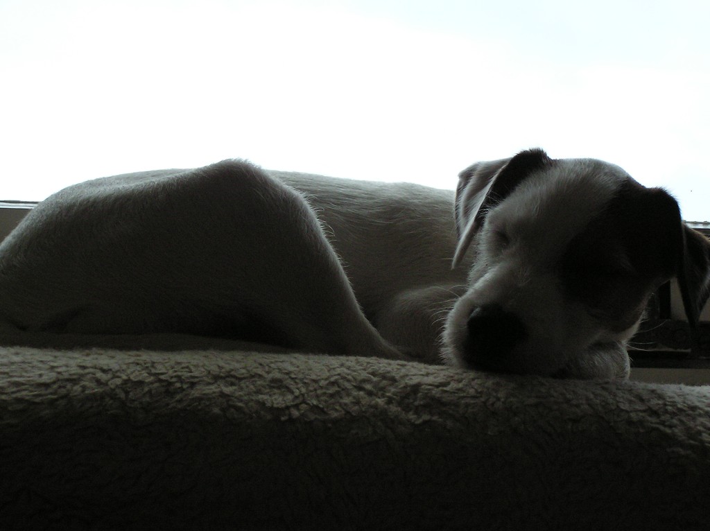 img00044.jpg