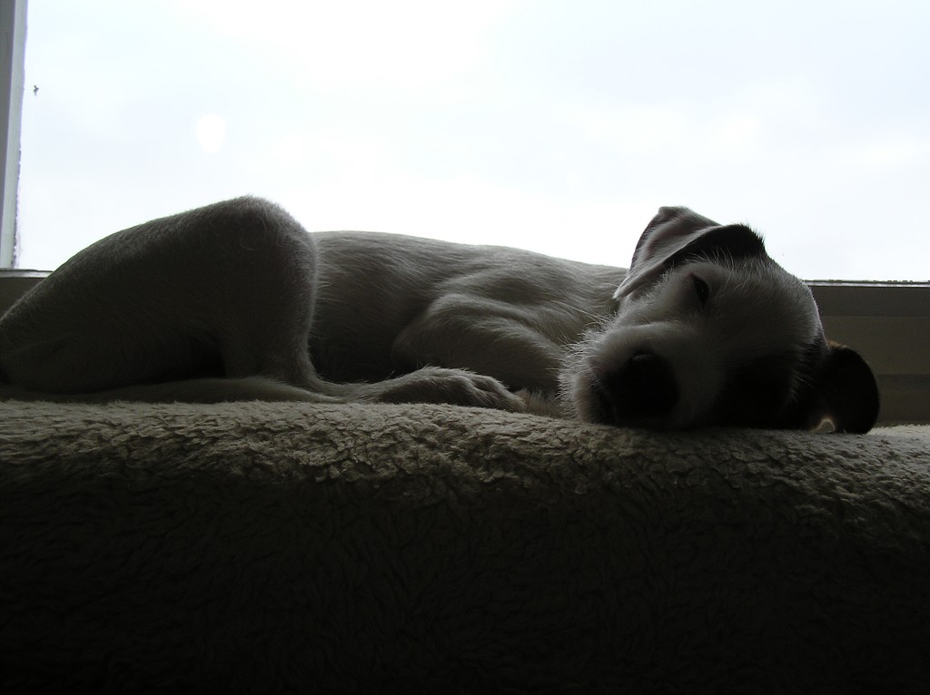 img00046.jpg