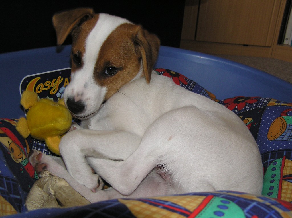 img00049.jpg