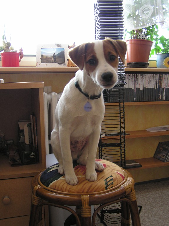 img00050.jpg