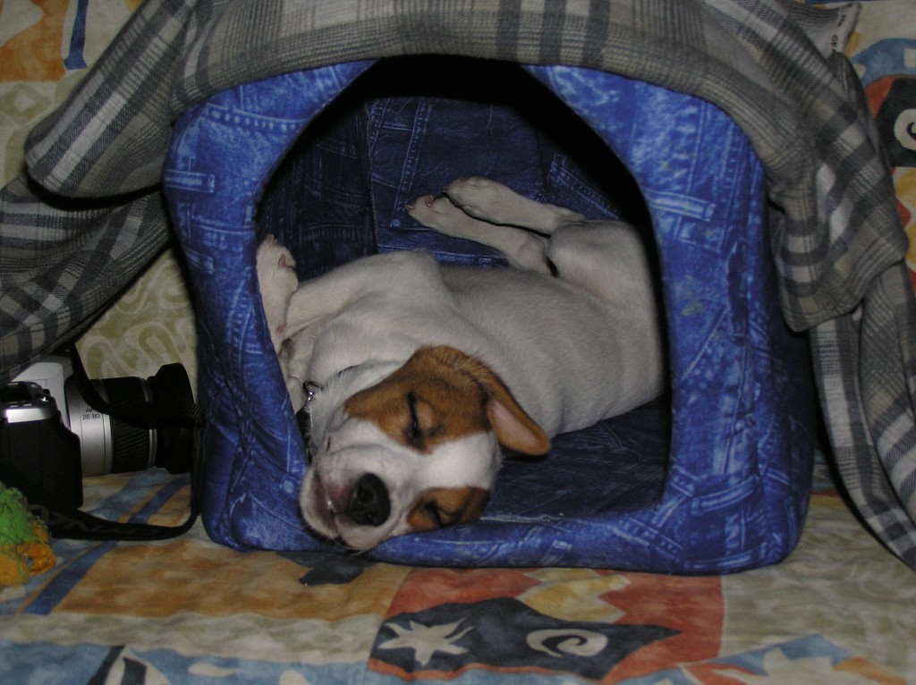img00051.jpg