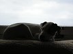 1/320 s, F3.2, ISO 200