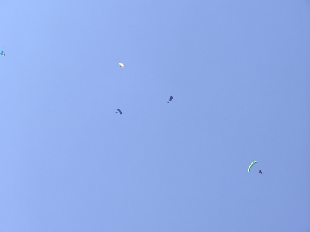 img00019.jpg