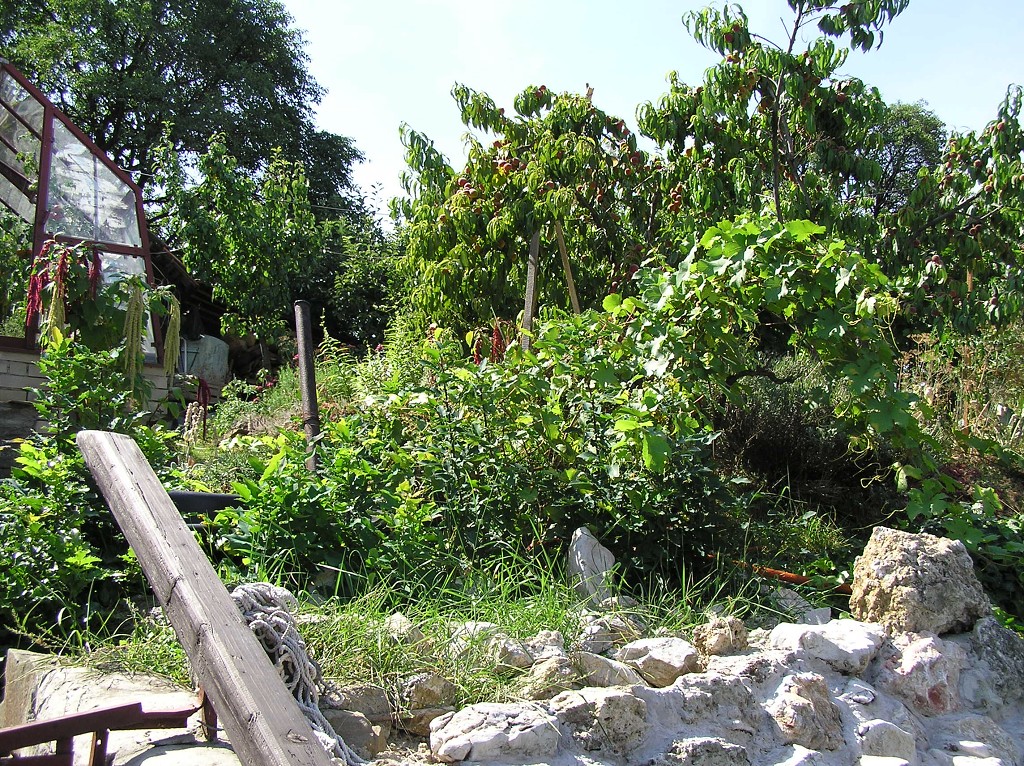 img00004.jpg
