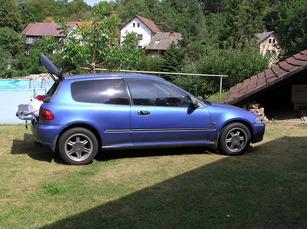 img00011.jpg