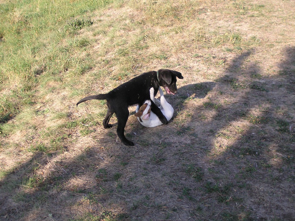 img00016.jpg