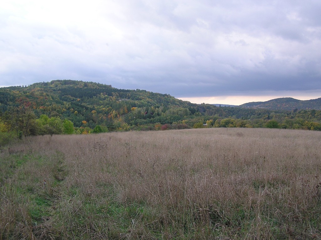 img00029.jpg