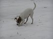 1/250 s, F3.2, ISO 50