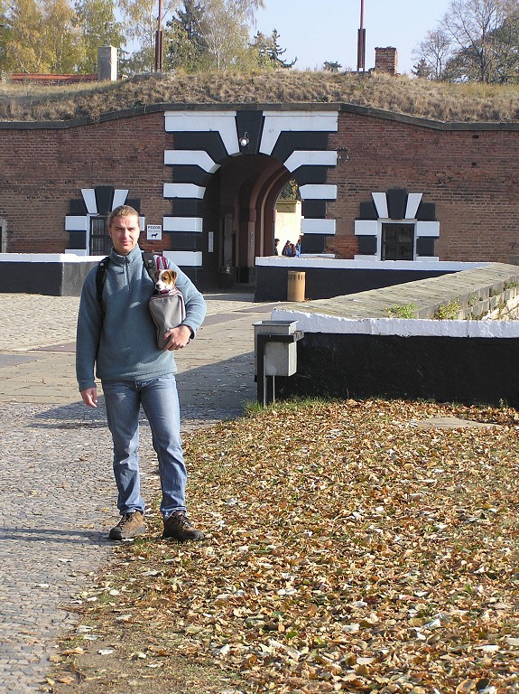 img00004.jpg