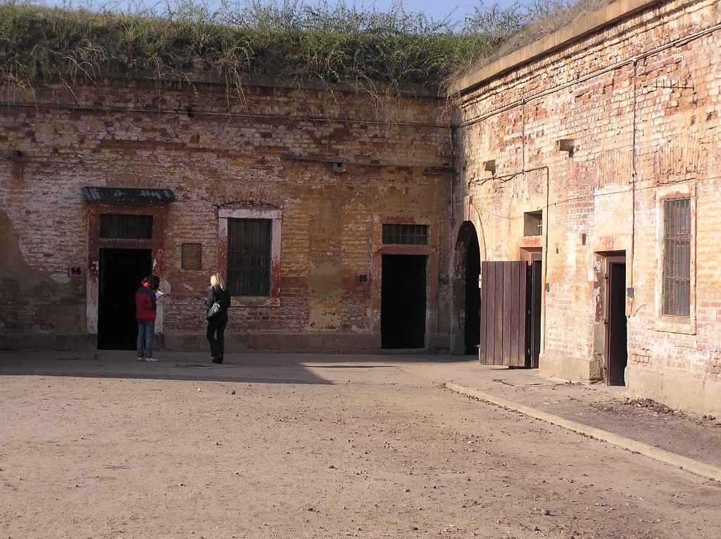 img00008.jpg