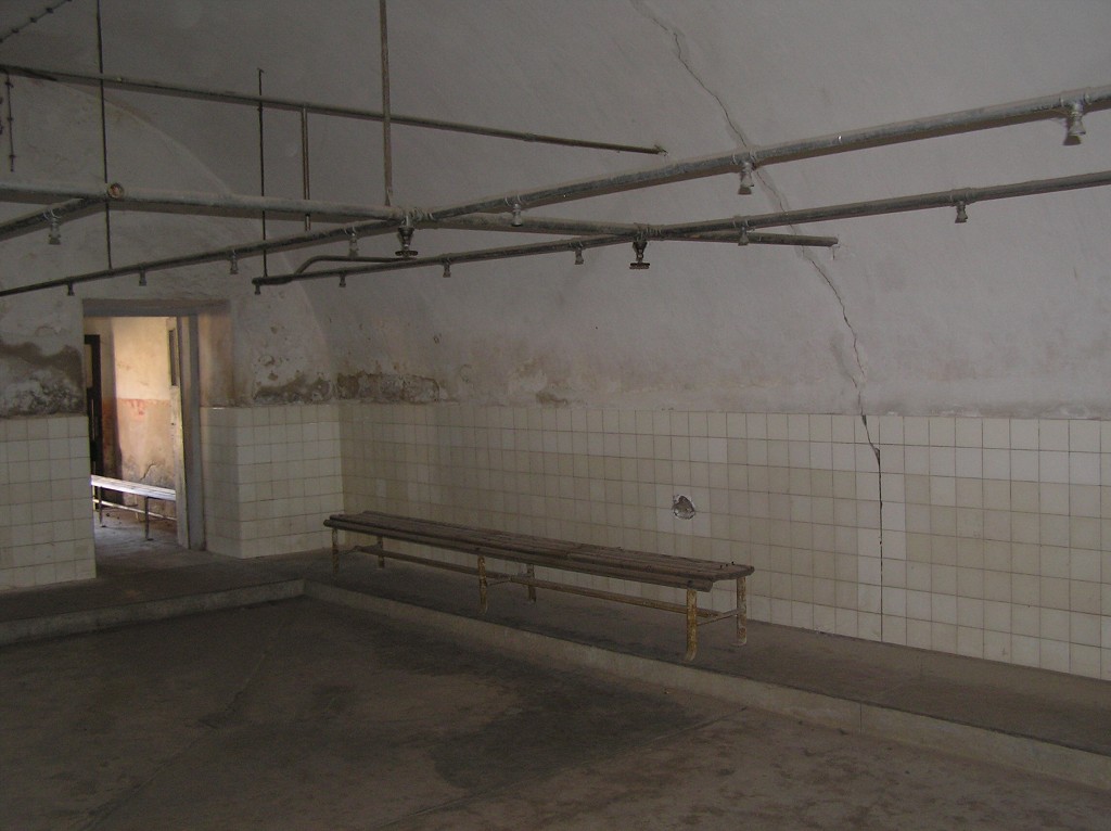 img00011.jpg