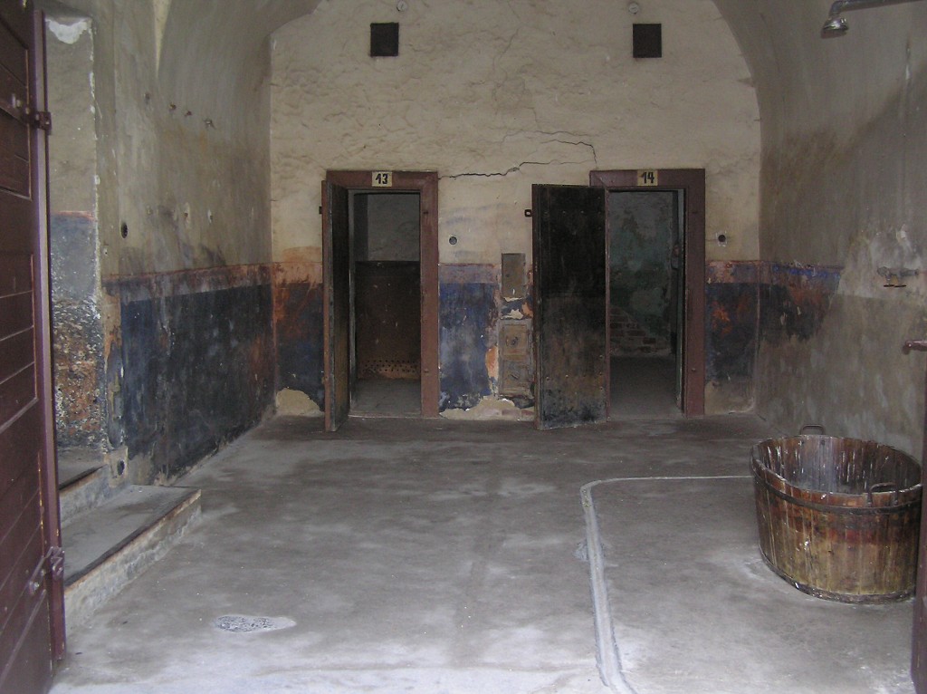 img00014.jpg