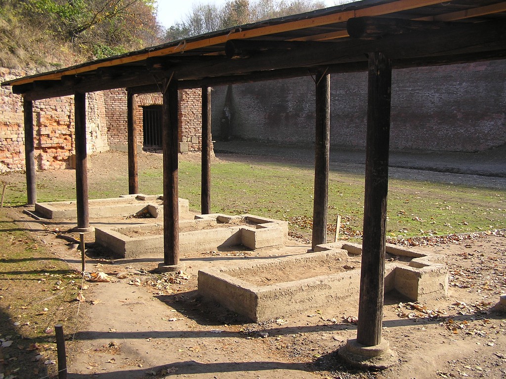 img00018.jpg