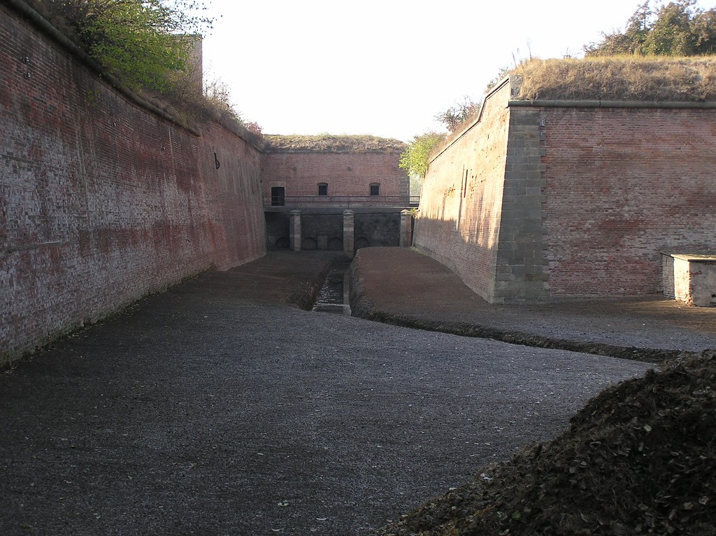 img00019.jpg