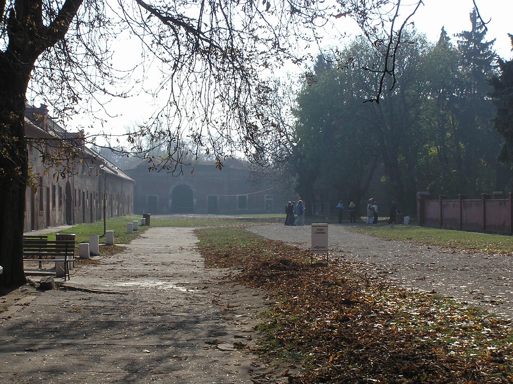 img00022.jpg