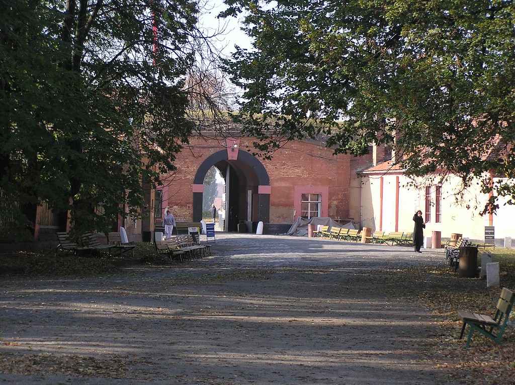 img00026.jpg